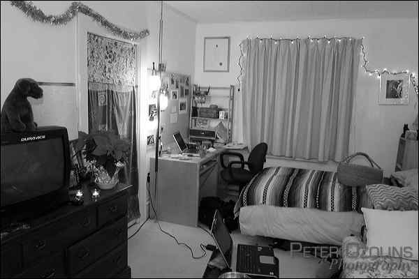 dscf3561.jpg